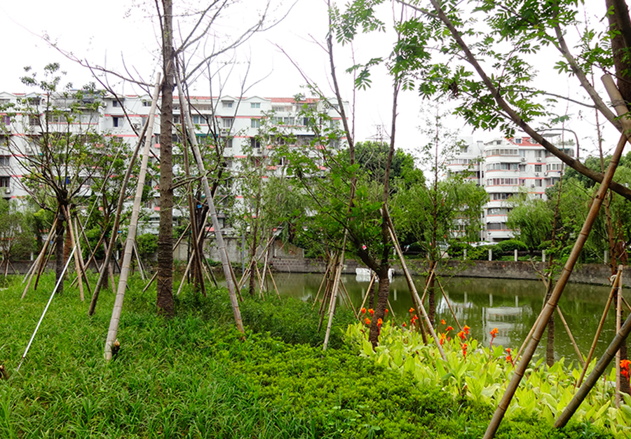 联丰村旧村改造村民安置用房项目景观绿化及